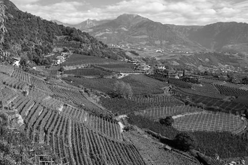 Winzerbesuch Vinea Castel