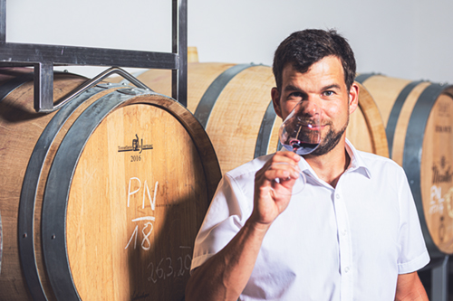 weinpunkt x Weingut Mantler
