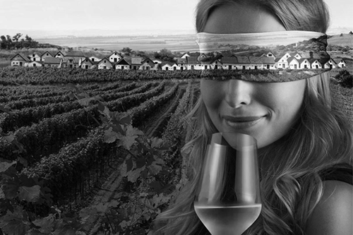 Weinviertel DAC Jahrgangspr�sentation