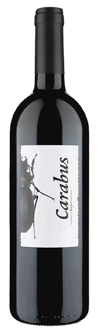 Carabus Rot Reserve Leithaberg Weingut Bayer 